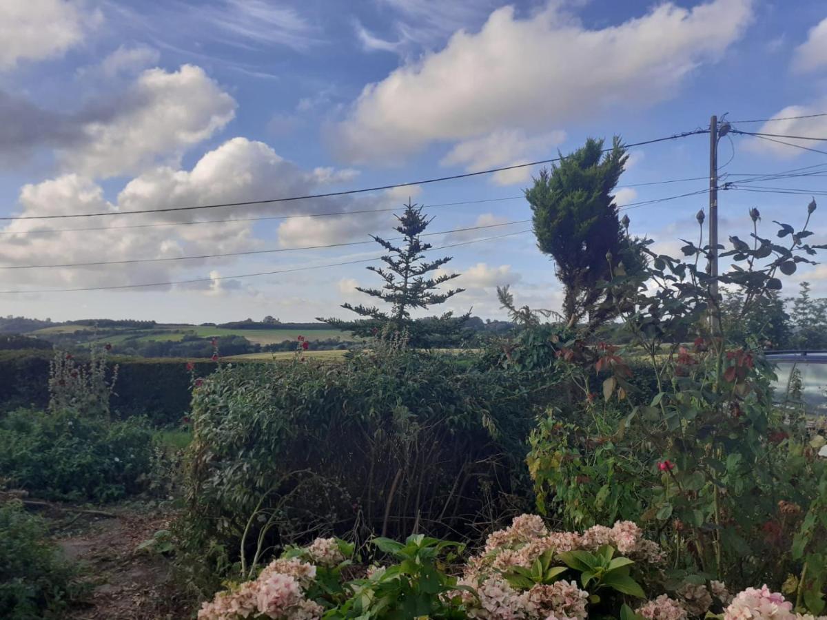 Gîte de l'écureuil, près des plages et de la forêt Baincthun Exterior foto